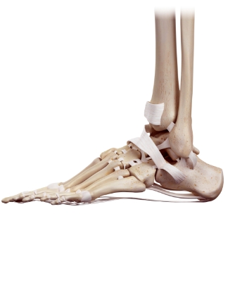 발목 관절경 수술